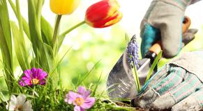 Garten- und Grünanlagenpflege